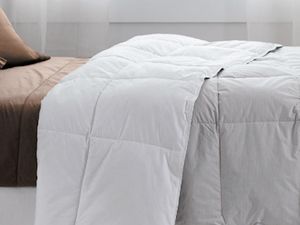 Sleep Number By Select Comfort True Silver Comforter Review