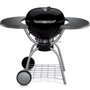weber one touch platinum charcoal grill