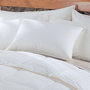 Pottery Barn Micro Max Pillow Review