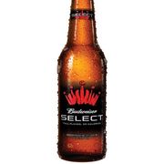 Budweiser Select Beer