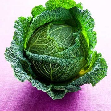 crispy cabbage
