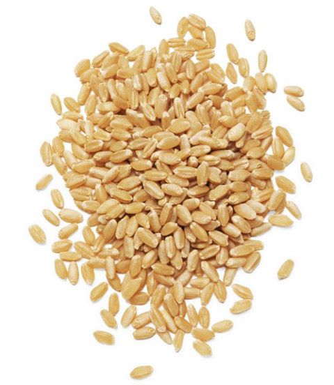 Whole Grains - Nutritional Information