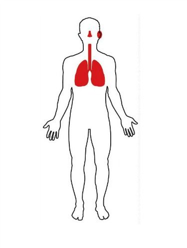 Antibiotics Body