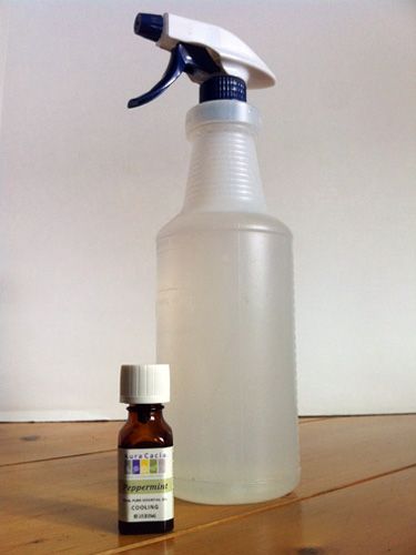 vinegar and peppermint oil cleaner
