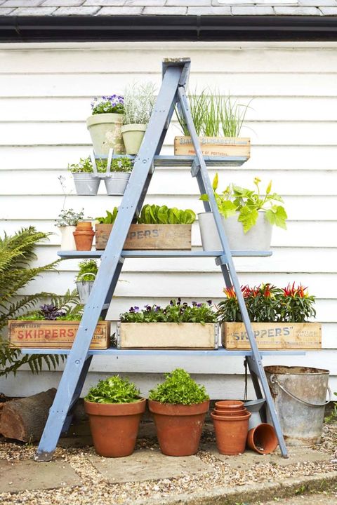 16 Container Gardening Ideas Potted Plant Ideas We Love