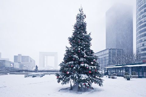 Winter, Branch, Tower block, Freezing, Neighbourhood, City, Christmas decoration, Metropolitan area, Urban area, Building, 