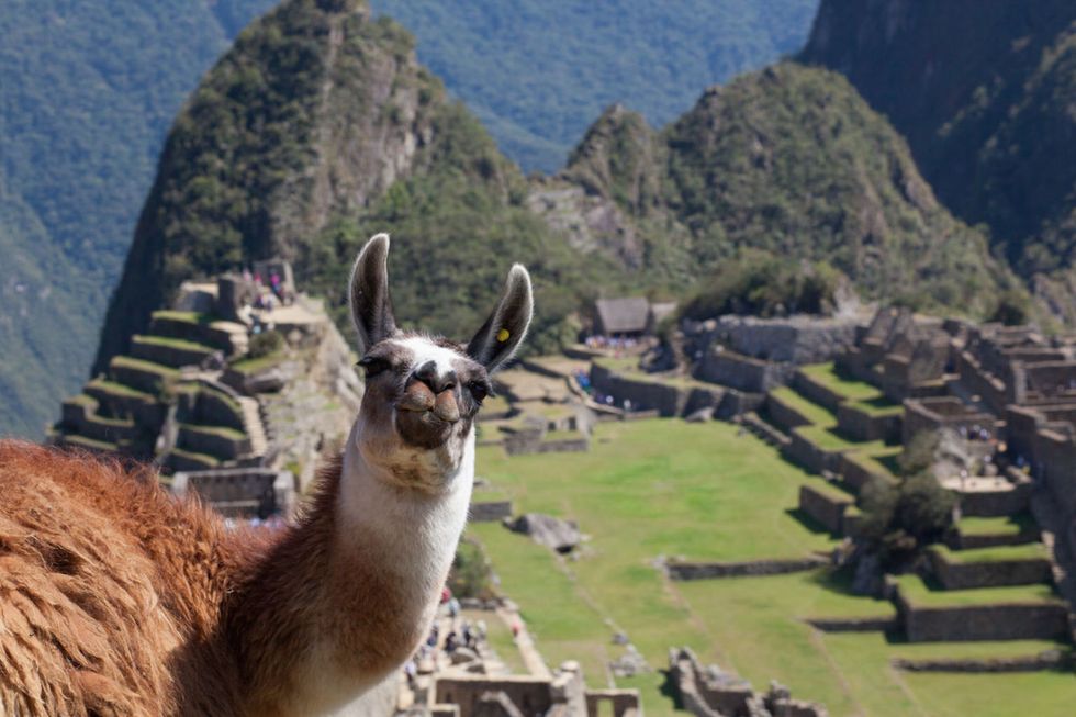 <p><a href="http://www.vuela.it/">Vuela</a>, tour operator specializzato nell'America Latina, propone diversi itinerari, per esempio il Perù andino classico (13 giorni), che prevede varie tappe indimenticabili, come Arequipa, Puno e, naturalmente, il lago Titicaca, Cuzco, la Valle sacra degli Incas e il Machu Picchu (da 2.450 euro, compresi i voli). <span></span></p>