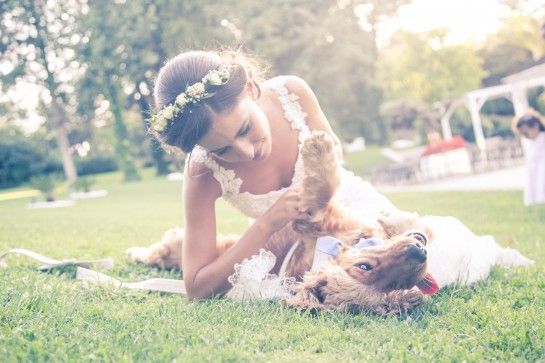 Wedding dog sitter cani al matrimonio