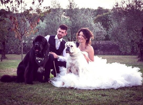 Wedding dog sitter cani ai matrimoni