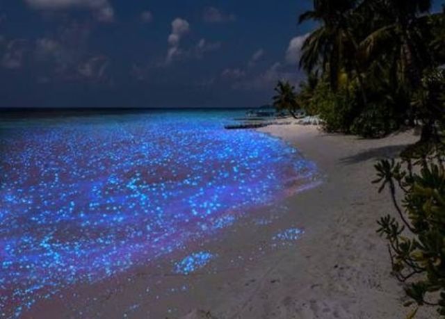 luoghi-da-favola-mare-delle-stelle-maldive
