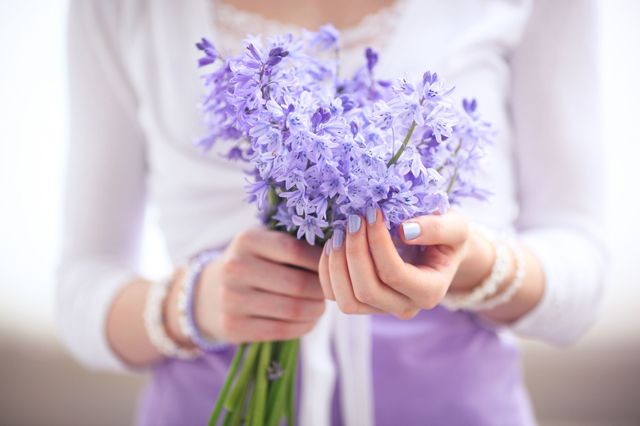 Purple, Lavender, Violet, Flower, Petal, Electric blue, Flowering plant, Lilac, Floristry, Cut flowers, 