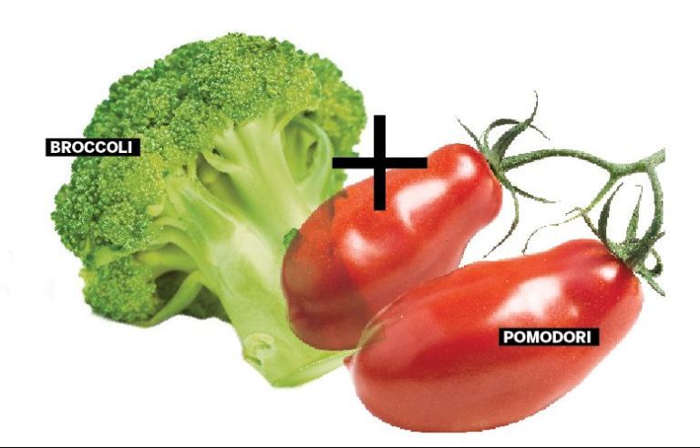 <p>Il pool di antiossidanti e fitoalessine che si assume mangiando nello stesso piatto broccoli e pomodori aumenta le capacità difensive del sistema immunitario, svolgendo un'efficace azione preventiva contro diverse neoplasie. </p>