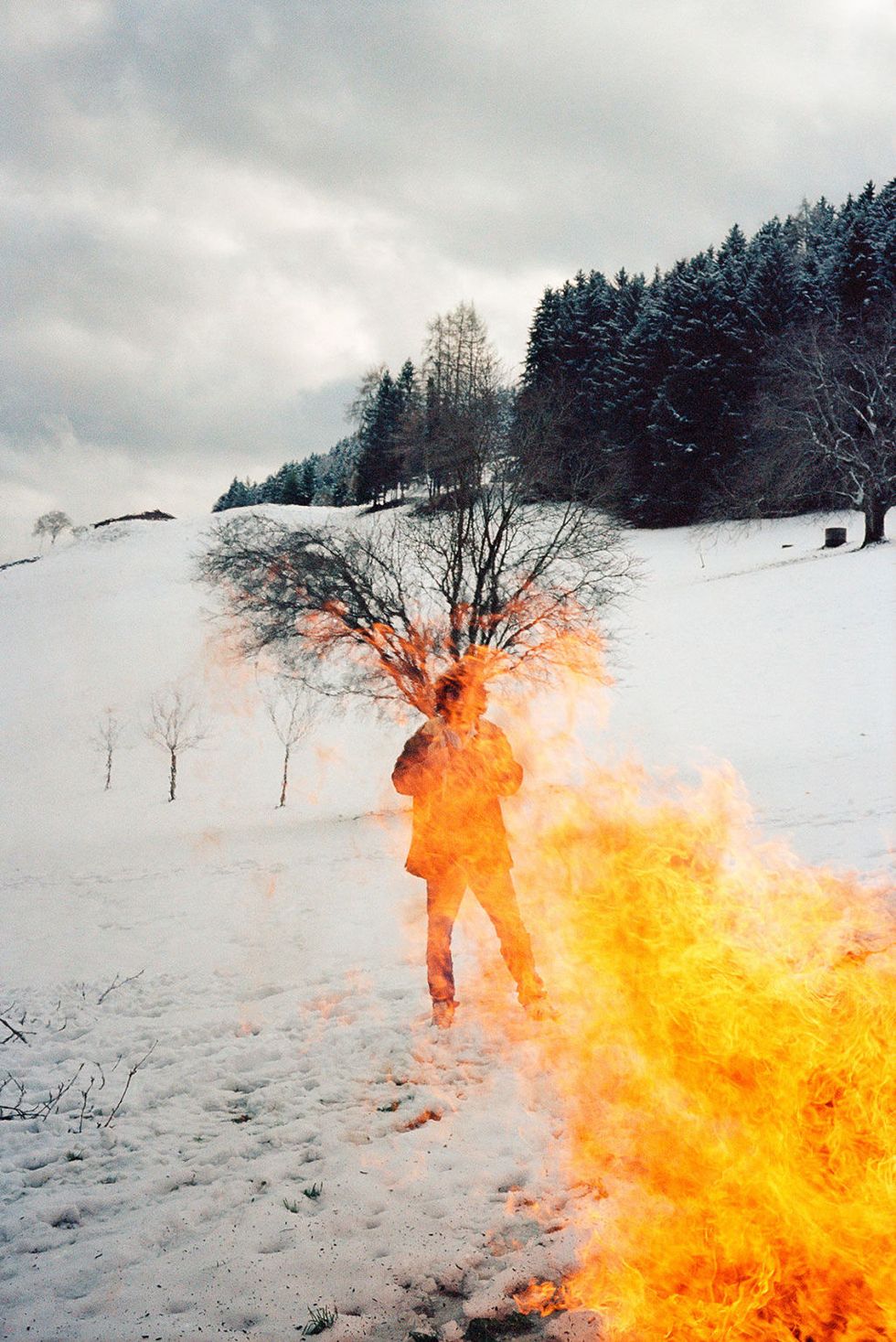 Human, Branch, Winter, Tree, People in nature, Geological phenomenon, Snow, Freezing, Fire, Heat, 