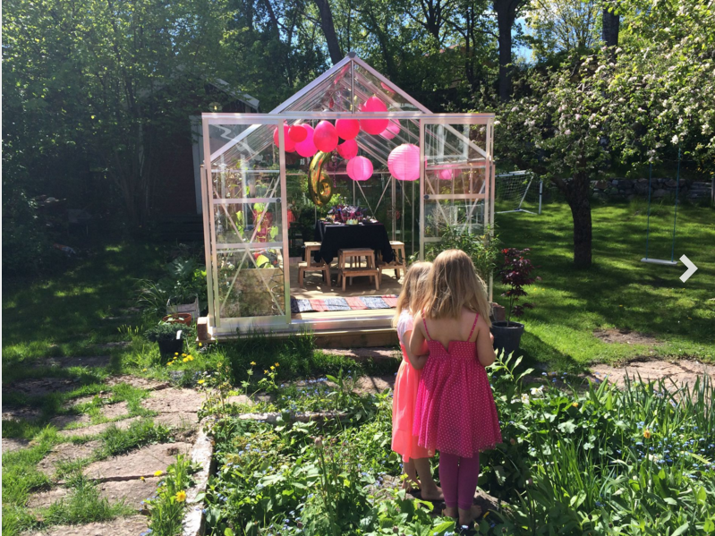 Plant, Pink, Garden, Shrub, Toddler, Groundcover, Yard, Backyard, Shade, Park, 
