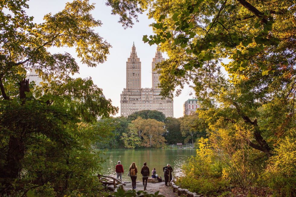 <p>Una vera e propria tappa classica per chi ama correre è il parco più famoso del mondo, Central Park. Tre chilometri quadrati e mezzo di verde da girare in lungo e in largo, con il passo che si preferisce. Anche solo camminando infatti è piacevole perdersi, per ammirare lo splendido panorama, unico al mondo, di un cuore verde contornato da grattacieli.</p>