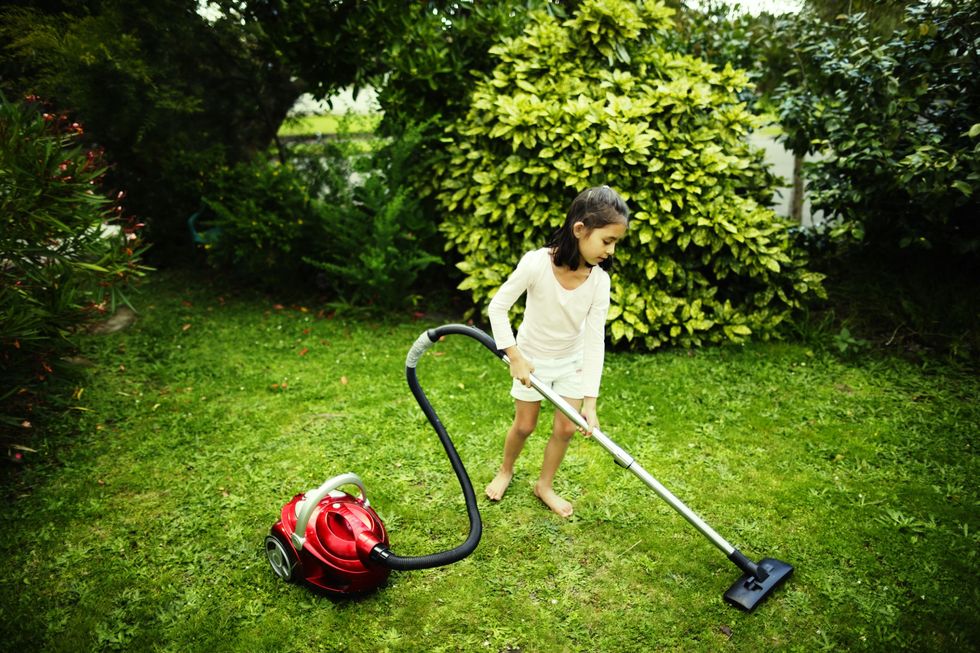 Fargli pulire il giardino con l'aspirapolvere: alla fine sarà da buttare ma ne vale sicuramente la pena