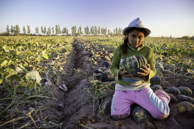 Giornata mondiale contro  lo sfruttamento del lavoro minorile