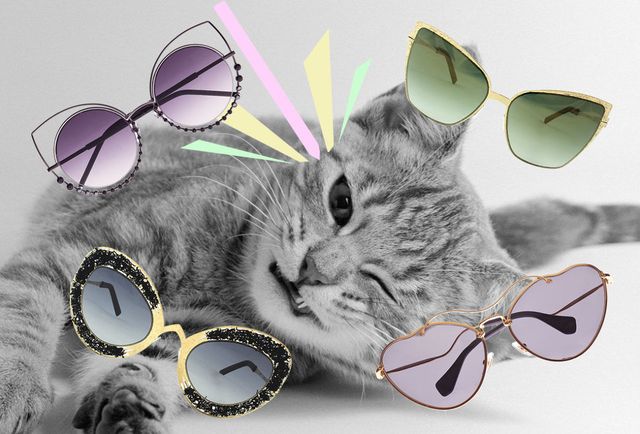 Eyewear, Vision care, Whiskers, Small to medium-sized cats, Felidae, Carnivore, Cat, Art, Snout, Eye glass accessory, 