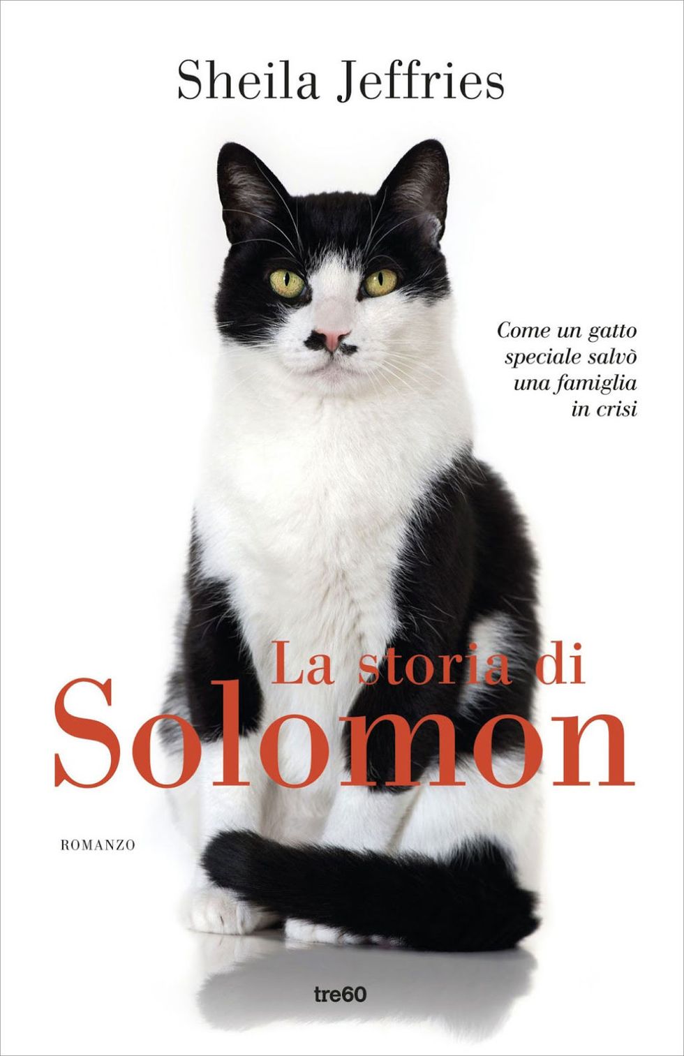 <p>Solomon è un <strong>gatto</strong> speciale, a partire dal suo aspetto: sembra che porti lo smoking, un manto nero con pettorina e zampine candide. Ma la sua eccezionalità non è dovuta solo a questo. Dal primo istante in cui Ellen lo porta a casa capisce che si tratta di un <strong>micio</strong> fuori dal comune. Un misto di saggezza e dolcezza, tanto che lei e suo marito decidono di chiamarlo Solomon, in onore del saggio Re d'Israele. Mai nome fu più profetico: di lì a poco il gatto diventerà l'angelo custode di Ellen e della sua famiglia.</p>