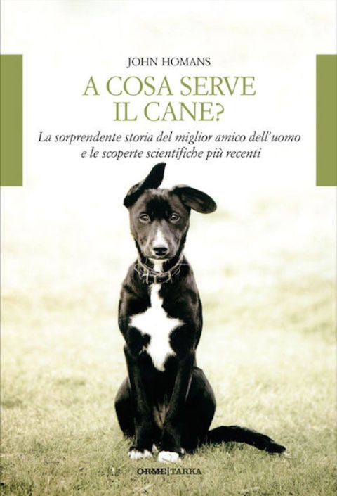 <p><strong>John Homans</strong>, giornalista cinofilo, riporta in questo libro gli studi più recenti riguardanti l'etologia del <strong>cane</strong> e il funzionamento del suo cervello: l'autore spiega il motivo per cui questo animale è così bravo a capire la gestualità umana (molto più di lupi e scimpanzé). Homans affronta inoltre l'origine storica delle razze canine, con particolare attenzione nei confronti del Labrador e racconta il problema dei cani randagi cittadini raccolti nei canili e destinati alla ricerca.</p>