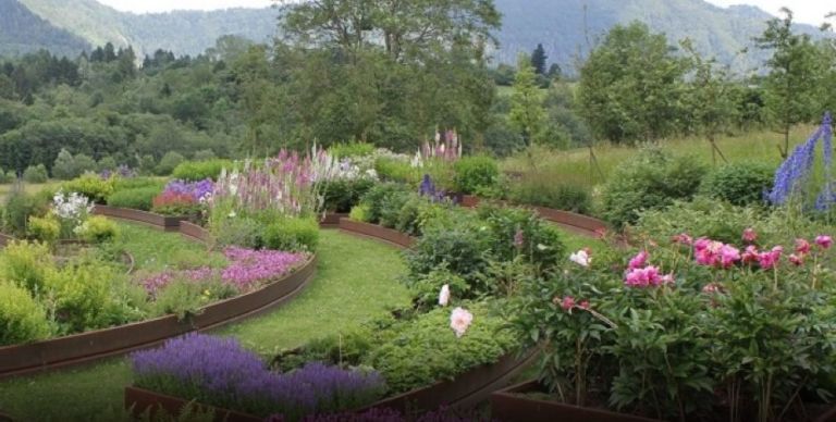 Plant, Shrub, Garden, Flower, Landscape, Plant community, Lavender, Purple, Petal, Magenta, 