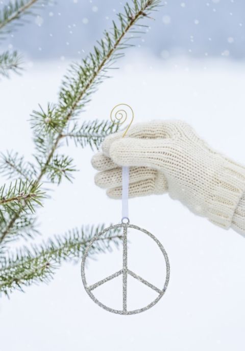Giornata-internazionale-della-Pace colomba della pace simbolo della pace
