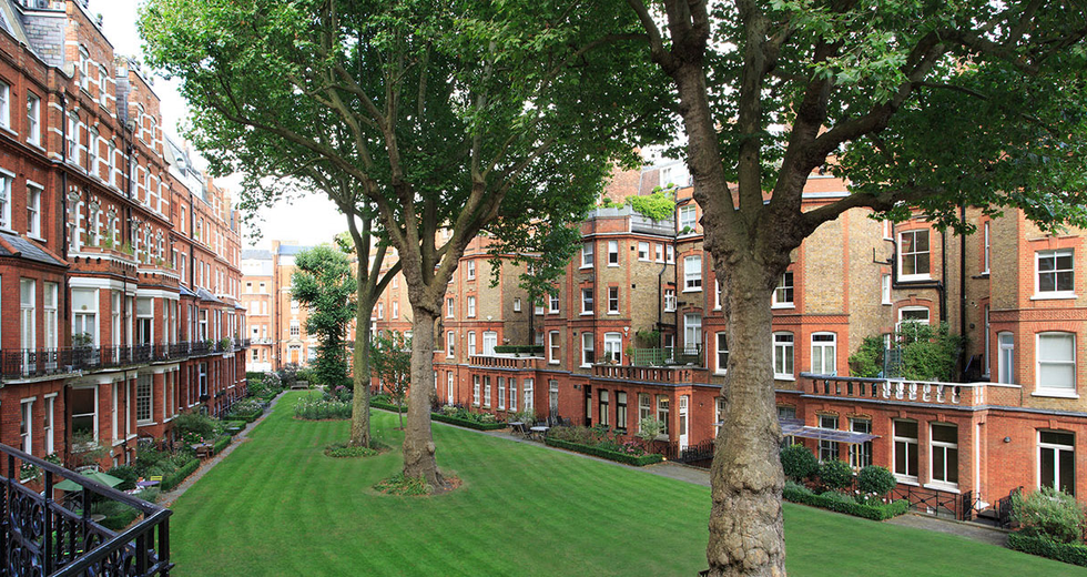 Window, Plant, Neighbourhood, Tree, City, Building, Woody plant, Residential area, Real estate, Apartment, 