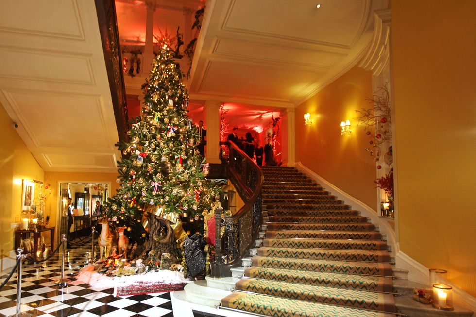 Lighting, Interior design, Stairs, Event, Room, Christmas decoration, Christmas tree, Decoration, Interior design, Ceiling, 