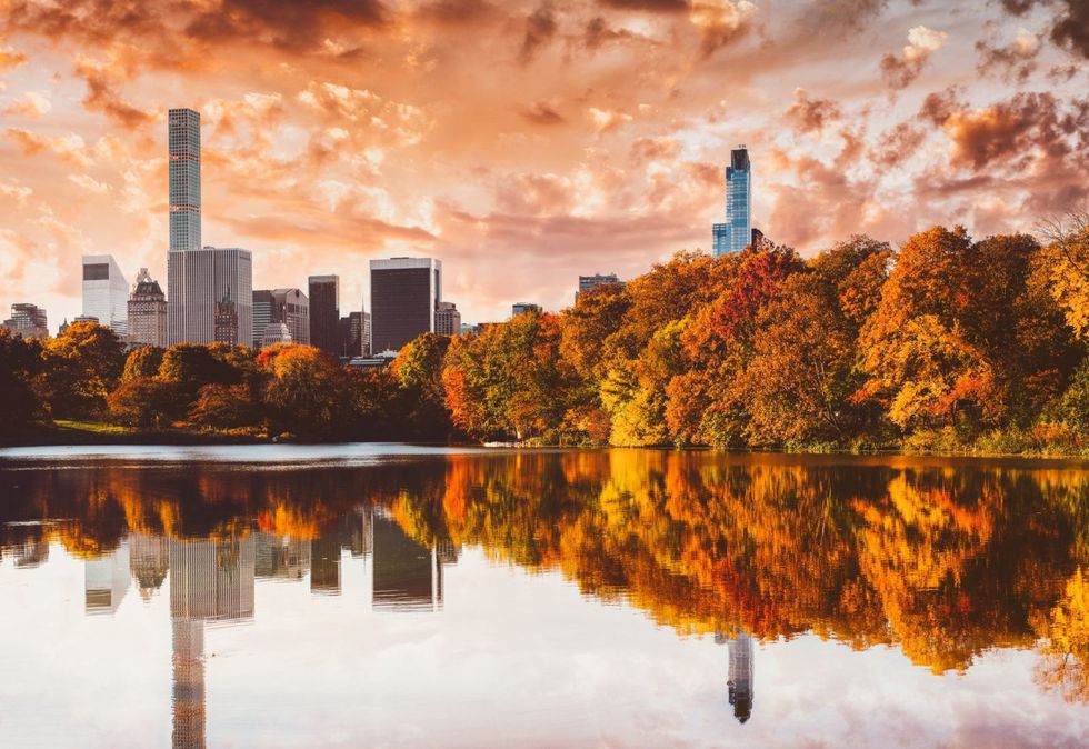 <p>L'autunno a New York, con lo splendido foliage di <strong>Central Park</strong>, è stato raccontato al cinema da un film del 2000 con <a href="http://www.elle.com/it/magazine/personaggi/g1320/richard-gere-matrimoni-amori-donne-cindy-crawford/">Richard Gere</a> e Winona Ryder, il già citato <em>Autumn in New York</em>. Per rivivere i luoghi in cui la pellicola è stata girata basta recarsi nell'immenso parco di Manhattan, che tra ottobre e novembre cambia il suo colore attraversando le mille sfumature calde del giallo e dell'arancio.</p>