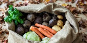 È una delle verdure più sottovalutate, eppure il sedano è un ortaggio gustoso e indispensabile per cucinare il suo uso più comune è nel brodo vegetale e nel pinzimonio, ma si sposa bene anche crudo con formaggi, nelle insalate e aggiunto alle insalate di riso È ricco di vitamina a, ha proprietà antinfiammatorie ed è un alimento nemico del colesterolo