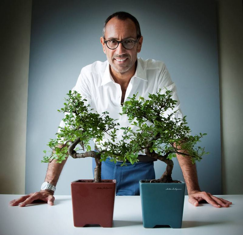 andrea castrignano bonsai per anlaids