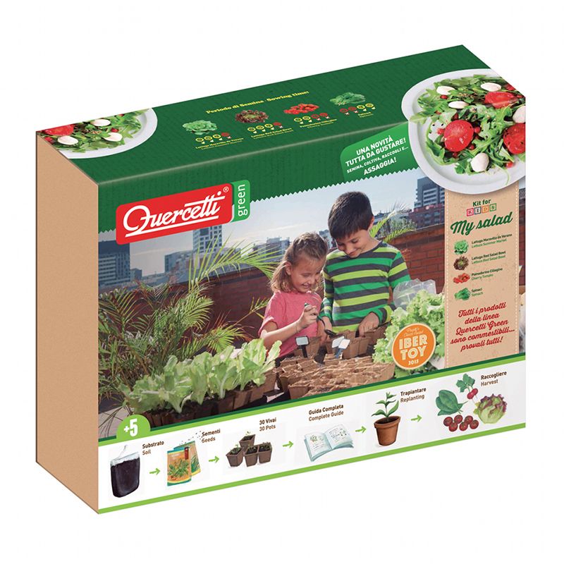 Vegetable, Produce, Advertising, Box, Fruit, Strawberries, Food group, Lego, Packaging and labeling, 