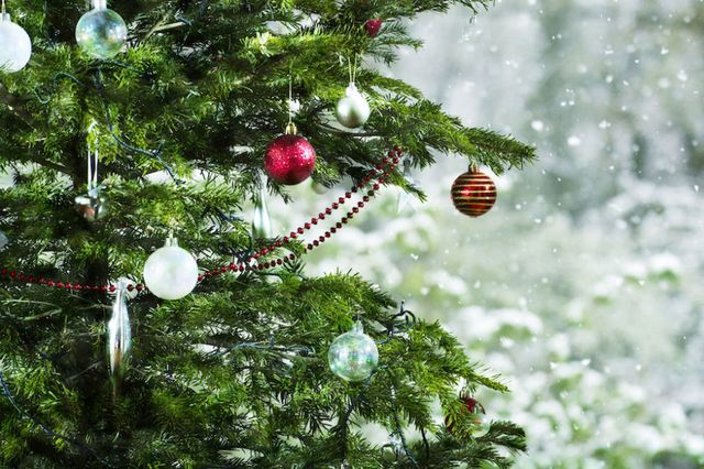 natale-2016-vip-italiani-albero-di-natale