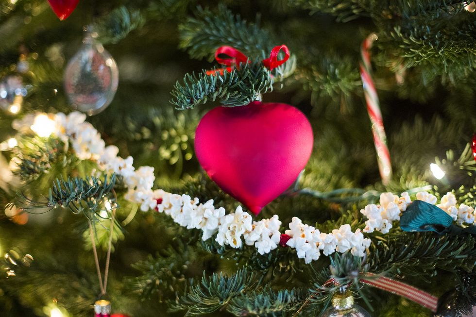 Christmas ornament, Christmas tree, Christmas decoration, Tree, Christmas, Fir, Ornament, Branch, Conifer, Evergreen, 