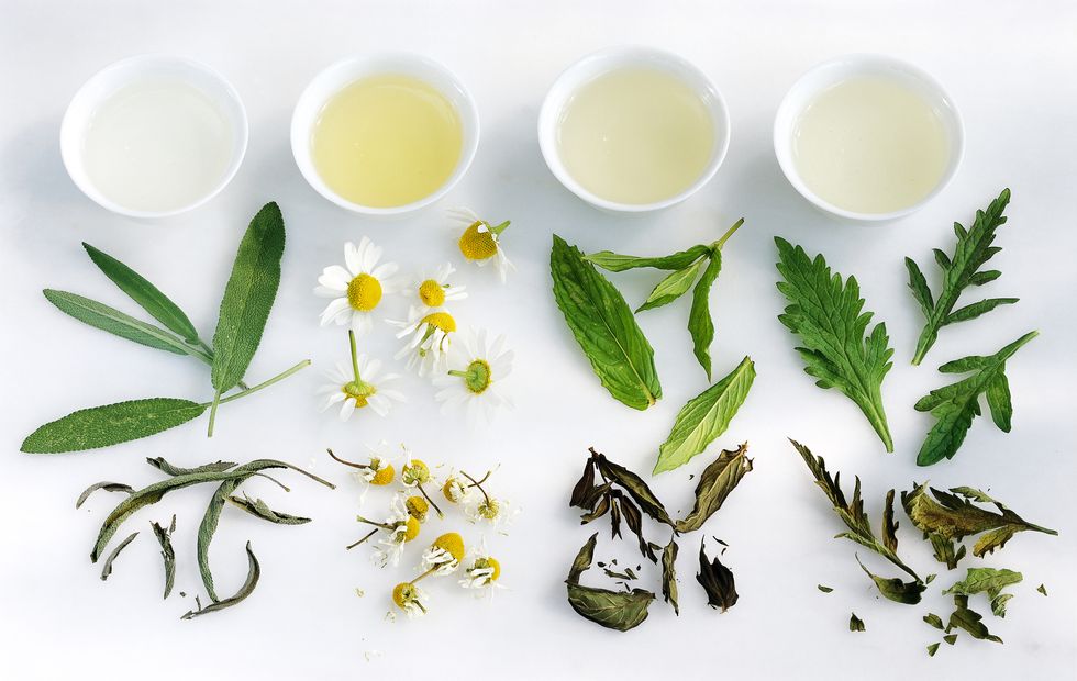 Serveware, Dishware, Ingredient, Drink, Botany, Gyokuro, Sencha, Huangshan maofeng, Green tea, Breakfast, 