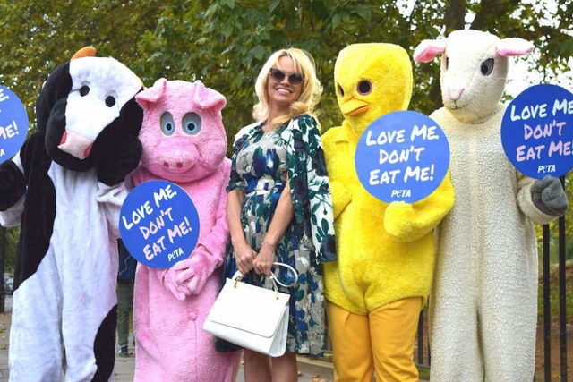 Pamela Anderson in difesa degli animali
