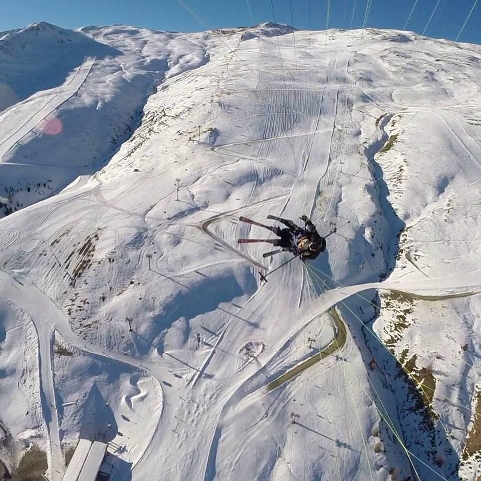 Slope, Invertebrate, Winter, Mountain range, Snow, Glacial landform, Insect, Ice cap, World, Arthropod, 