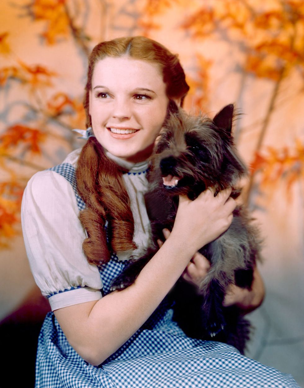 <p>Judy Garland's pigtails in <em data-redactor-tag="em" data-verified="redactor">The Wizard of Oz </em>were iconic for more than one reason: they often changed length scene after scene. You could call it movie magic.&nbsp;</p>