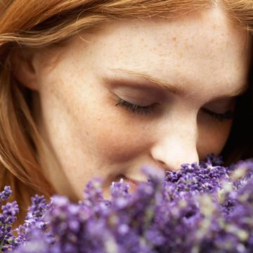 piante grasse da esterno quali sono le piante grasse con fiori da esterno