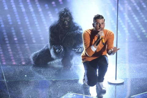 Sezione - Tara & simili > - Pagina 8 Gallery-1486630871-francesco-gabbani-sanremo-2017-scimmia