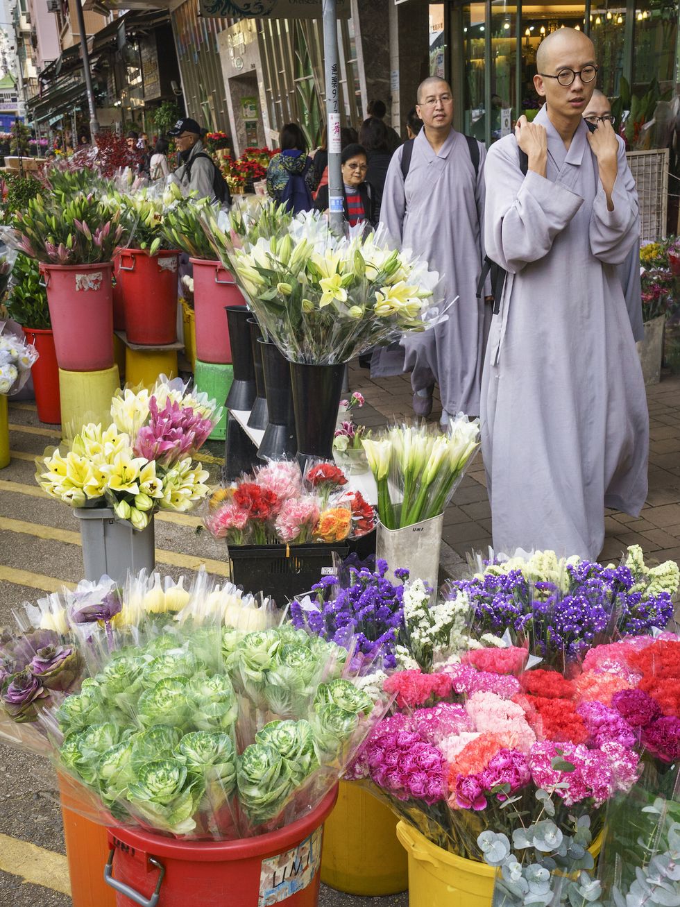 Floristry, Flower, Cut flowers, Public space, Flowerpot, Plant, Selling, Market, Human settlement, Marketplace, 