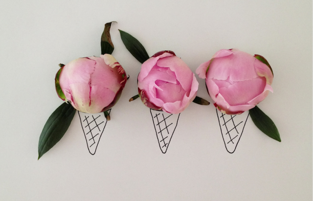 instagram-gelato-a-forma-di-fiore-amorino