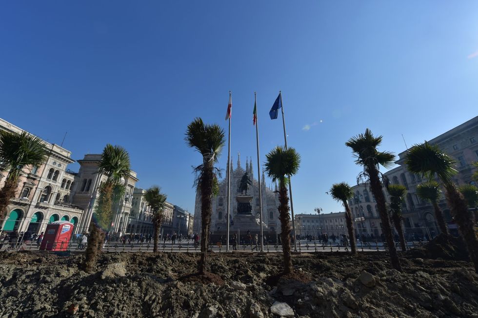 Le foto delle palme in Piazza Duomo a Milano.