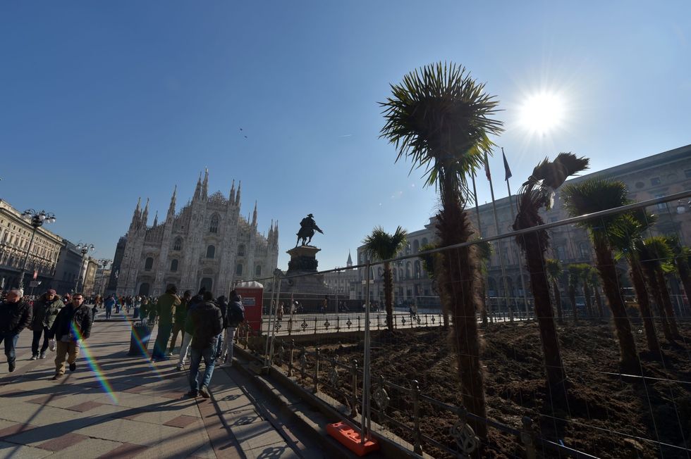 Le foto della posa delle palme in Piazza Duomo.