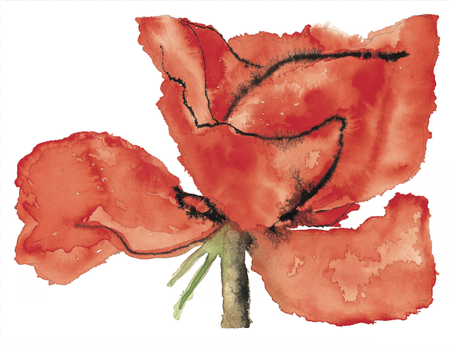 Red, Pink, Botany, Carmine, Paint, Watercolor paint, Art paint, Coquelicot, Painting, Peach, 