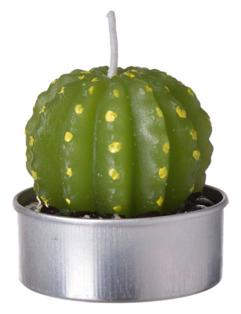 design-cactus-candela-moroni-gomma