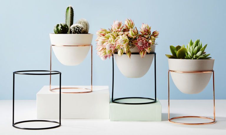 design-cactus-stand-con-vasi-in-porcellana-norsu