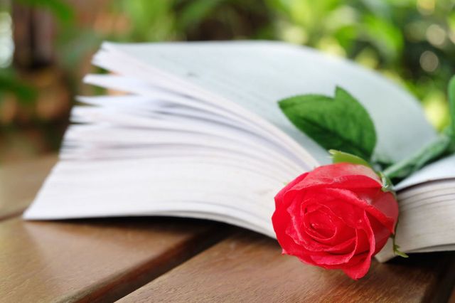 libreria-fiori-libri-con-una-rosa-roma