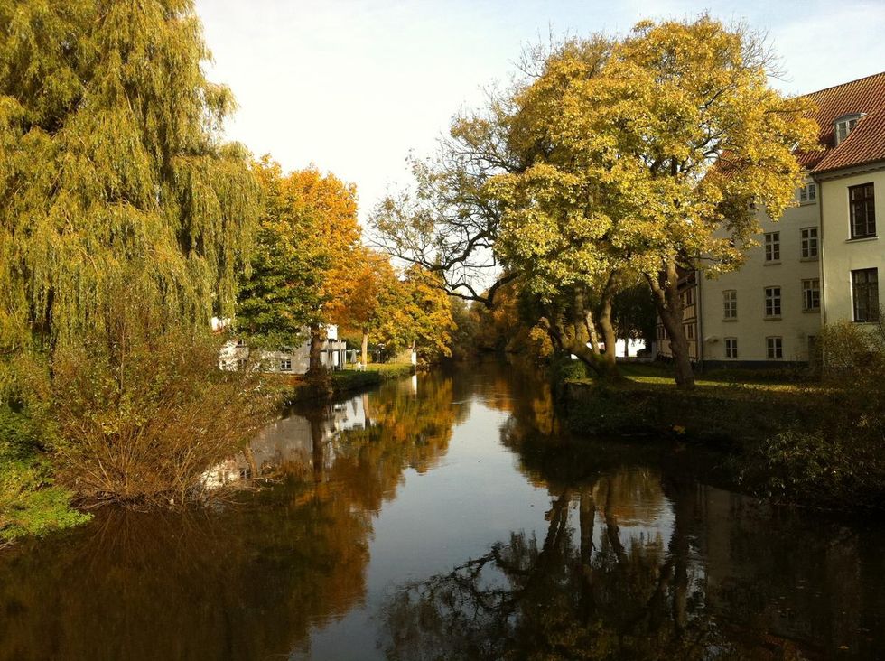 Reflection, Body of water, Waterway, Tree, Canal, Nature, Water, Bank, Leaf, Autumn, 