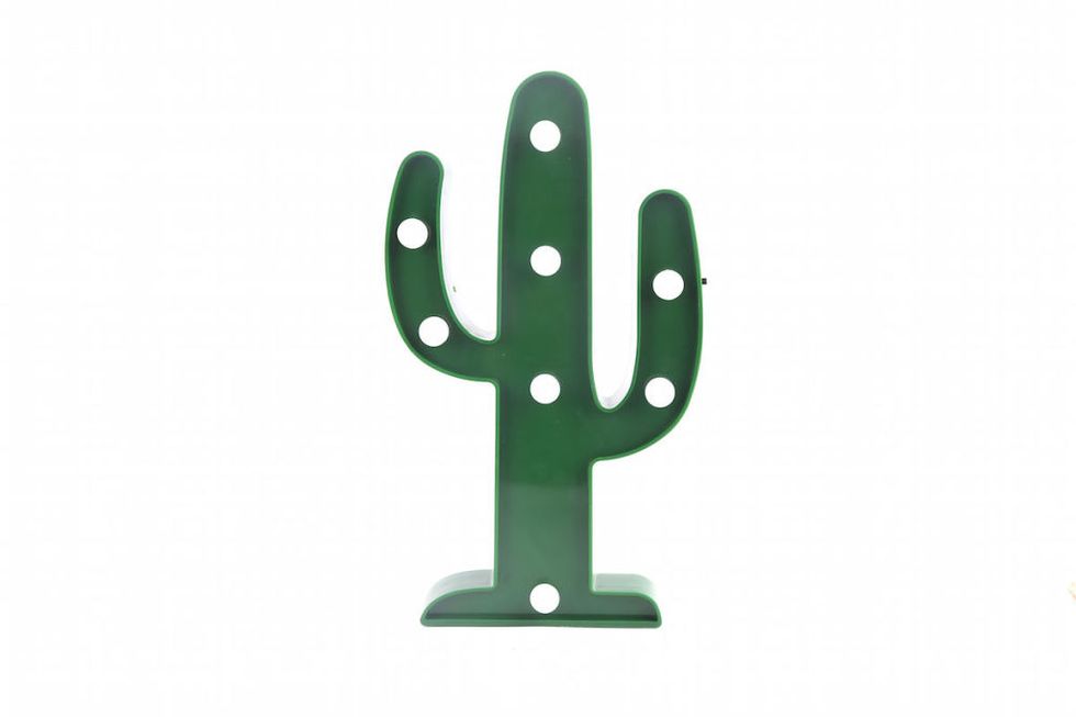 Dalani-led-cactus